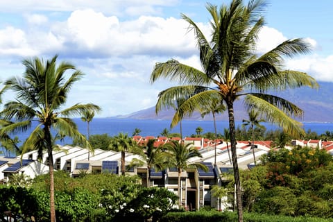 Gorgeous views of the ocean and Maalaea Bay. Great for whale watching.