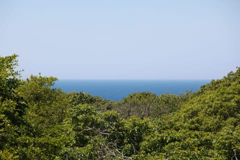 Ocean View
