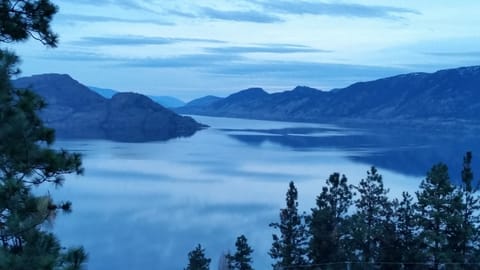 The Blue Horizon
