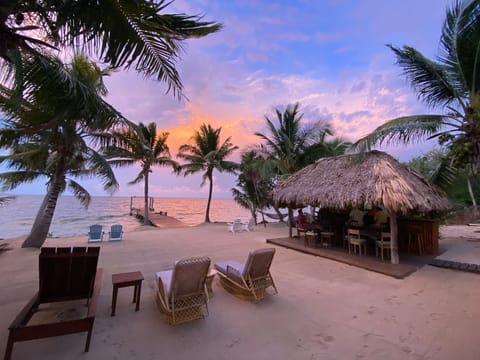 Your beach, dock and private fully functional beach bar with music system