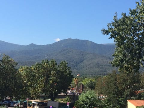 Property view