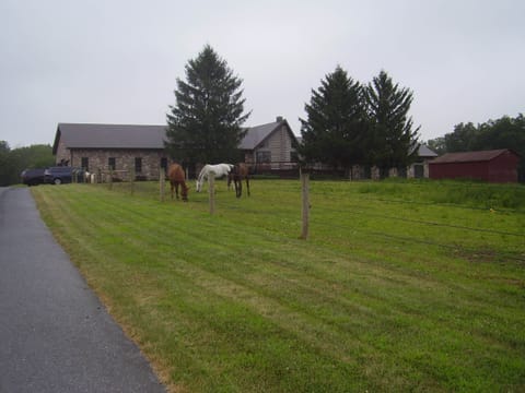 Front of house, coming up the driveway 