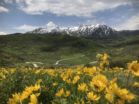 Utah's Switzerland!
Access to hiking and biking trails yards away from our home.