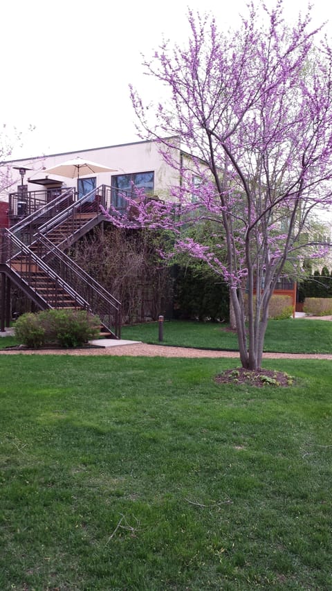 Follow the Stairs to Enter "The Penthouse".Relax & Enjoy the View From the Deck!