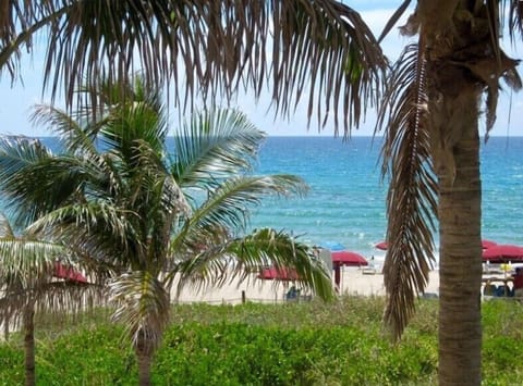 View from resort patio