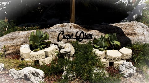 The Best Bang for your Buck in the Fabulous Florida Keys! Locally owned 26 yrs!