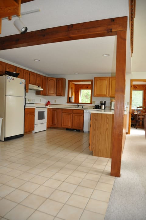 Kitchen - main level