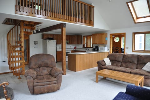 Living room / Kitchen