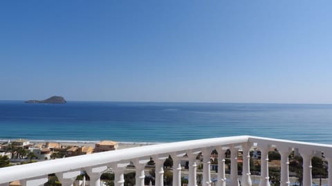 LA MANGA 