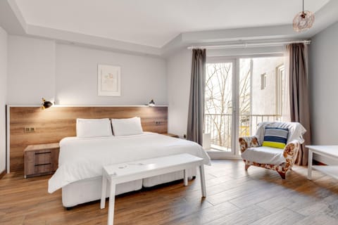 Standard Double Room, Non Smoking | Minibar, desk, laptop workspace, iron/ironing board