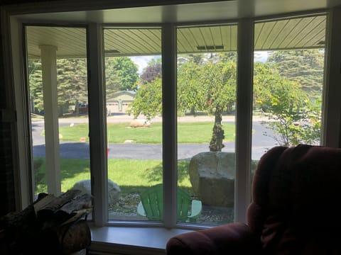 View from living room out to driveway and road