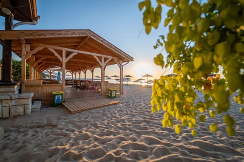 Free beach shuttle, sun loungers, beach umbrellas