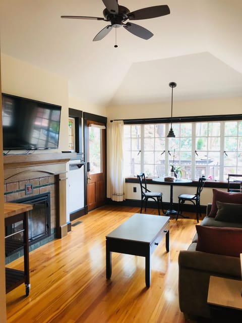 Beautiful Living Room with smart Amazon Fire HD TV