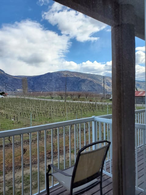 Family Room, Multiple Beds, Vineyard View | Terrace/patio