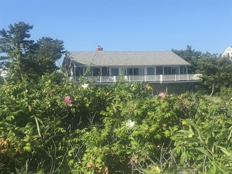 Pristine Beach House on Cape Cod!
65 Magnolia! The Only Place To Be!