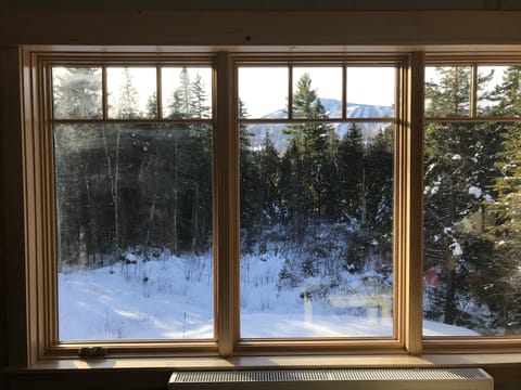 View of Sugarloaf mountain from the living room