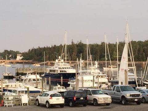 Great views of soaring eagles, offshore islands, and magificient yachts!
