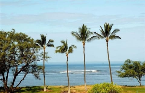 180 degree ocean views. Watch whales from your lanai during season!
