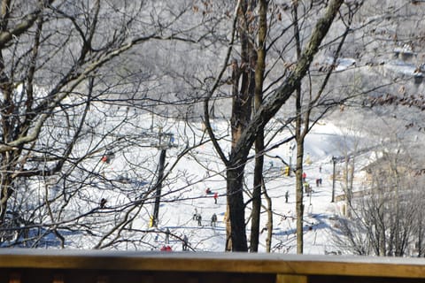 View from back deck