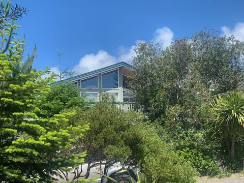 South facing side of house.