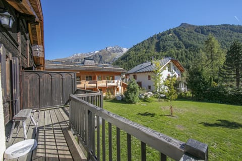 Garden view from the balcony