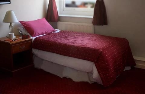Standard Single Room, Garden View | Desk, blackout drapes, free WiFi, bed sheets