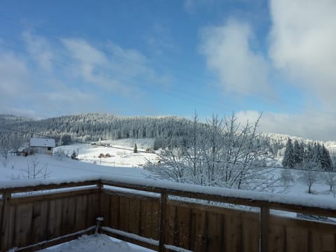 View from the terrace in winter