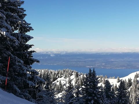 CHALET to THOLLON MEMISES THE SKI MOUNTAIN (in the village) LAKE GOLF (Evian baths) Chalet in Haute-Savoie