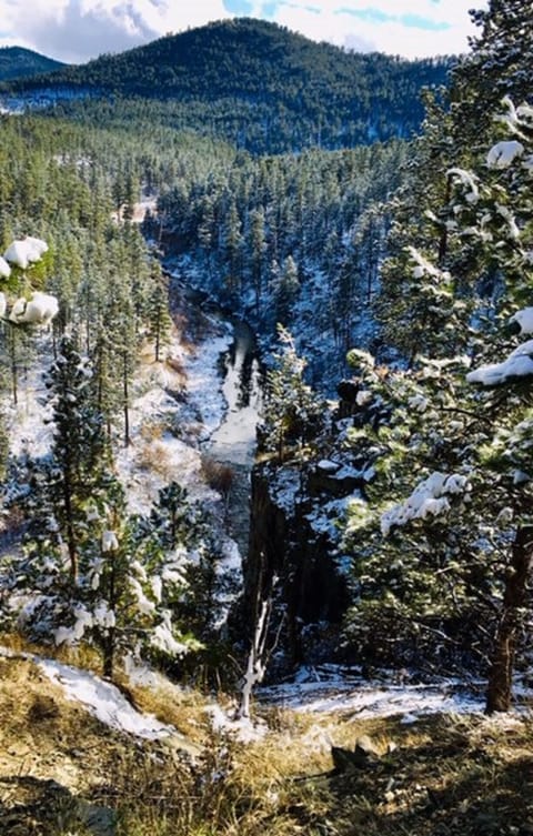 Spring Creek