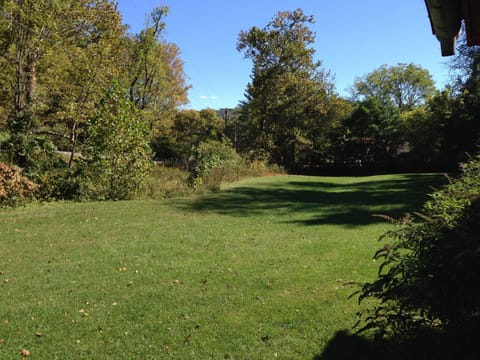 yard view from front porch, looking toward Turkey Hill Rd