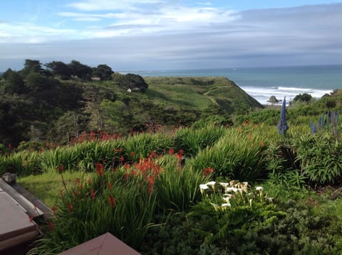 Early spring view from the spa & living room.