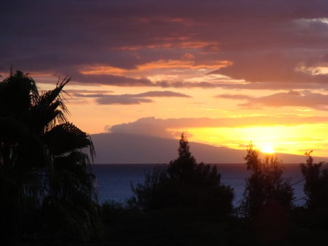 Stunning sunset photo taken from the lanaii