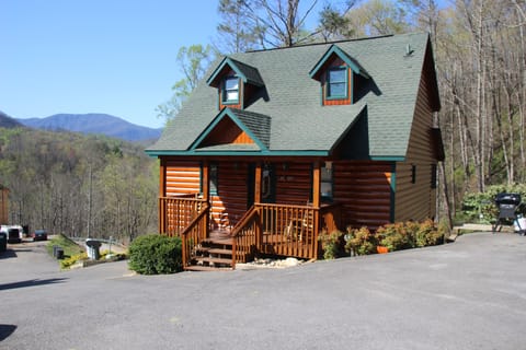 Excellent Mountain Views from Cabin!