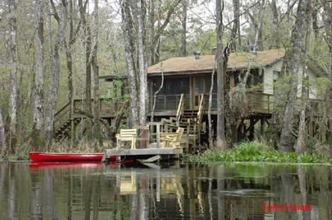 View from the river