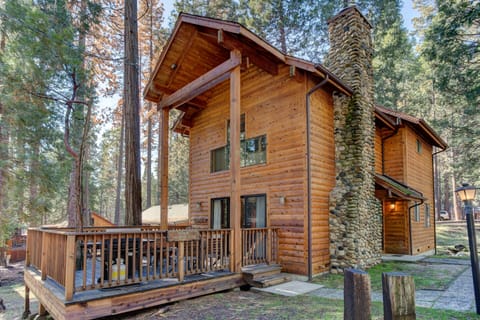 Cabin Twelve