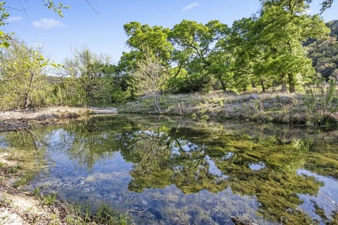 Crystal-clear creek surrounded by lush greenery-perfect for a peaceful nature stroll or quiet reflection.