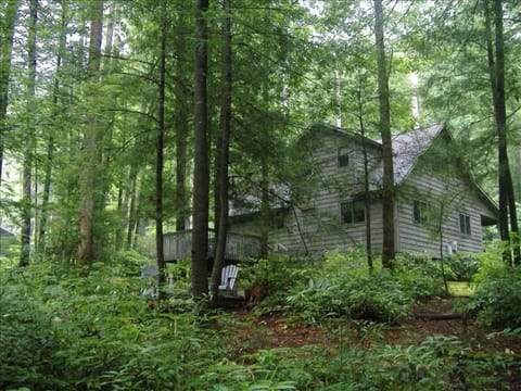 View of back yard from stream area.... relax in deck chairs 40' from cabin....