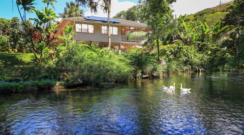 The vibe is awesome. Relax and rejuvenate your soul. Yes the swans are real... 
