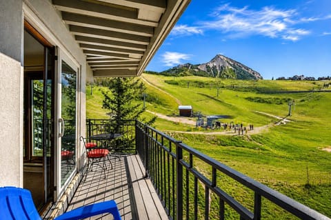Wraparound deck with gorgeous mountain views right outside your door