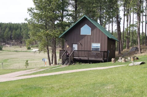 Cabin #1 exterior