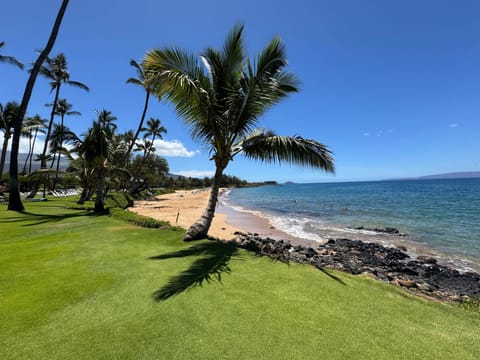 Kamaole Beach II Southern View