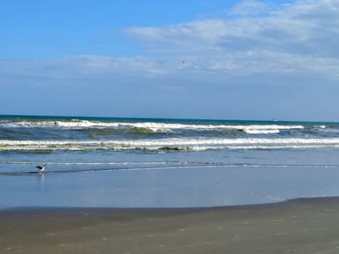 The Beach
