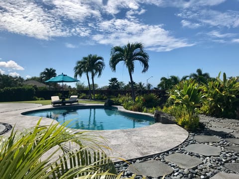 Pool deck and side yard