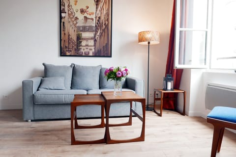 Apt. COSY4 - Latin Quarter - Paris - Living room bathes in natural light