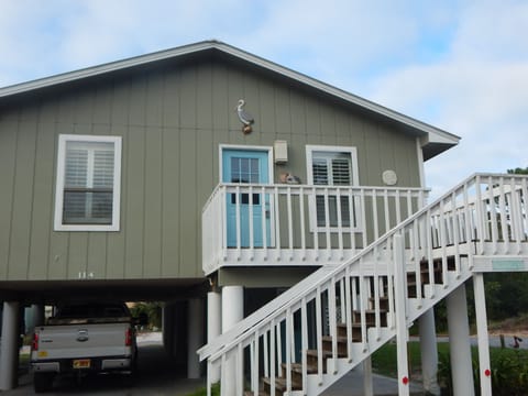 Front door of the pelican's nest
