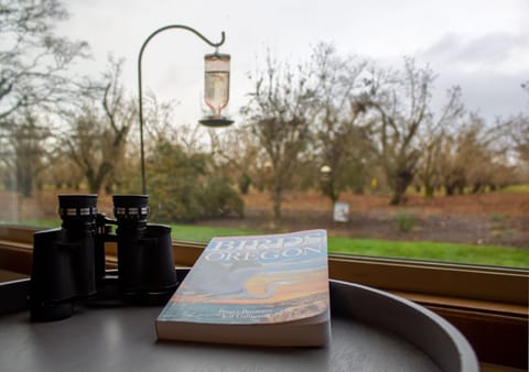 Enjoy bird watching? Grab your morning coffee and watch from the living room.