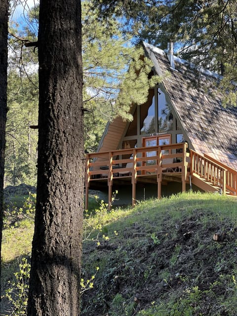 The Nordic Pine Cabin.