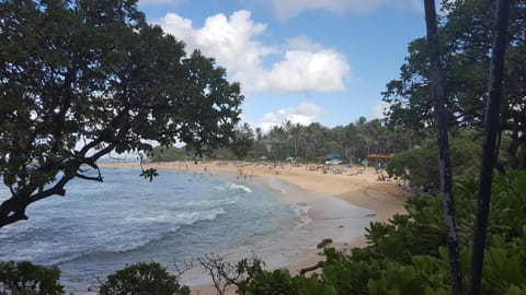 Nearby Turtle Bay Beach & Resort. Within walking distance.