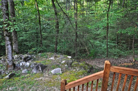 Beautiful setting with outcroppings of rock and boulders.