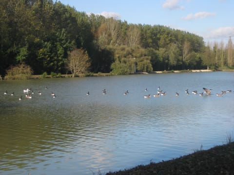 Come feed the ducks and enjoy the warmth of the autumn sun